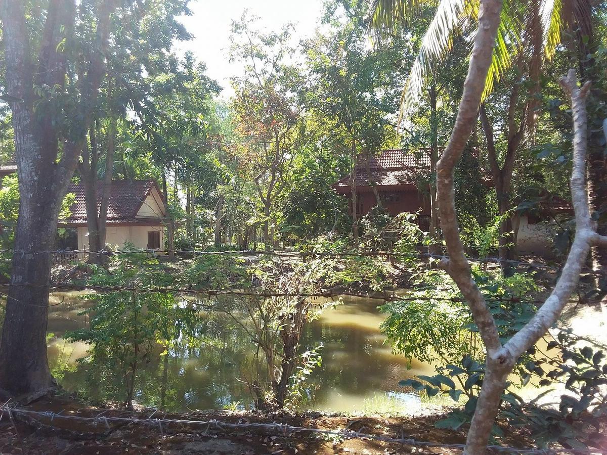 Your Home In Mae Rim Ban Muang Pha Buitenkant foto