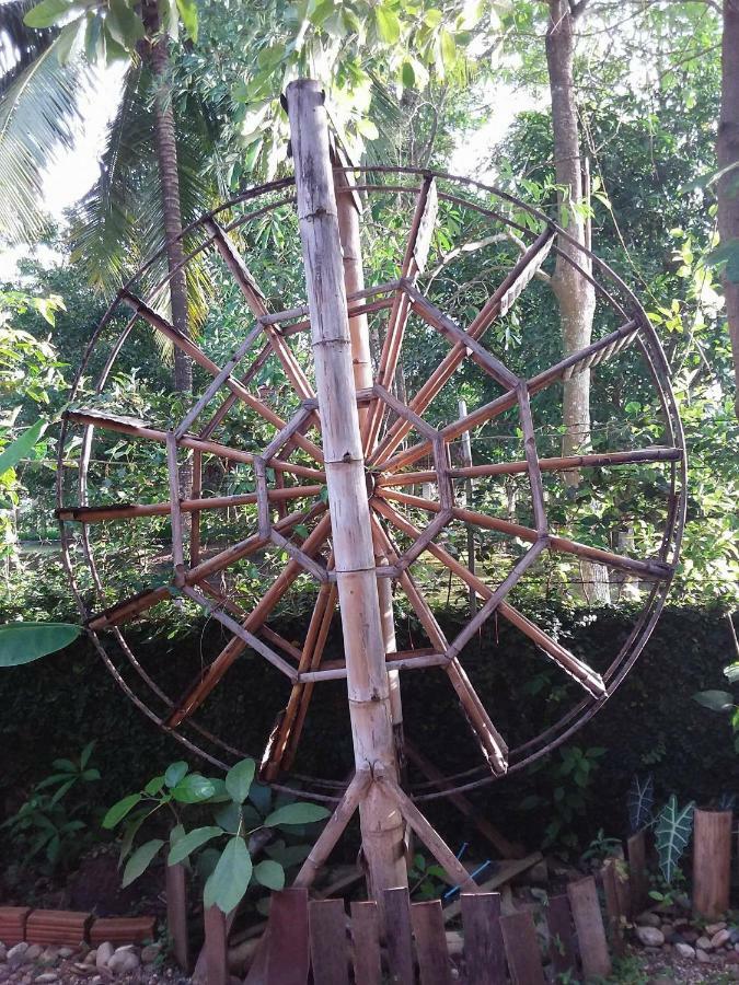 Your Home In Mae Rim Ban Muang Pha Buitenkant foto